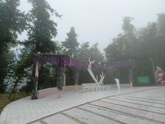 -长沙黑麋峰国家森林公园