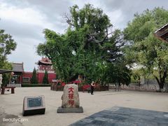 -大槐树寻根祭祖园