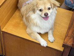 -水之惠鲜鱼料理(王府大街店)