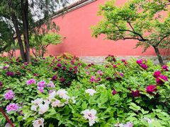 -北京市劳动人民文化宫(太庙)
