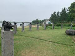 -杭州湾海上花田景区