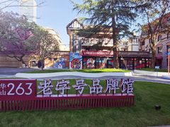 -华山263老字号品牌馆