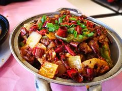 -陈麻婆豆腐总店
