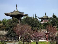 -法门文化景区