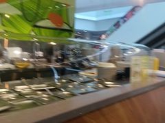 -油梨树AVOCADO TREE(望京店)