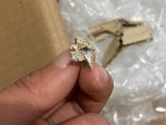 -西郊国际农产品交易中心
