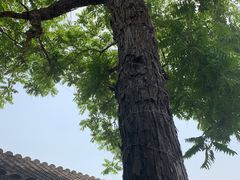 -SUSU·苏苏(四合院创始店)