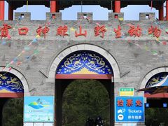 -西霞口神雕山野生动物世界