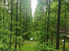 -黄海国家森林公园