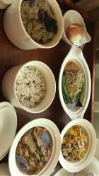 -生命加•Q考拉月子会所(玫瑰园店)