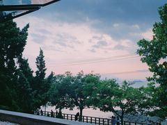 景观位-Vanilla Specialty Coffee(八大关店)