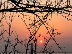 -苏州东太湖生态园