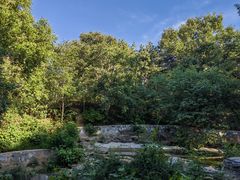 -北京西山国家森林公园