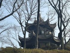 -上海市保健医疗中心