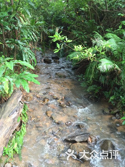 田心森林公园图片 - 第59张