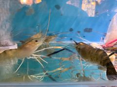 -Thai Basil罗勒叶泰式餐厅(时代天街店)