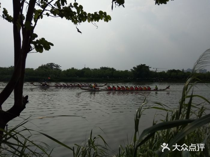 海珠國家溼地公園-圖片-廣州景點/周邊遊-大眾點評網