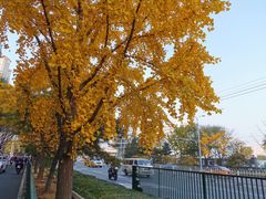 -福1015(愚园路店)