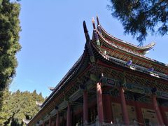 -武陵山森林公园