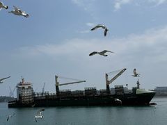 -海驴岛(荣成市)