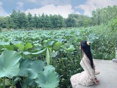 -Beans Solo豆号咖啡(百家湖花园店)