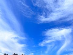 -哈尔滨音乐公园