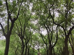 -渭滨公园