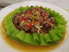 -田螺阿姨自营月嫂·育儿嫂(高新店)