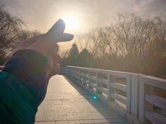 -大兴滨河森林公园