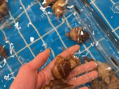 -新丁香海鲜酒店(银海商贸城店)