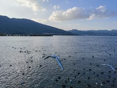 -海埂大坝
