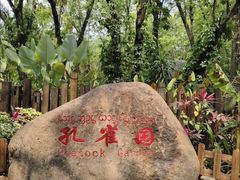 -西双版纳傣族园