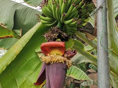 -万源龙顺度假庄园生态观光园