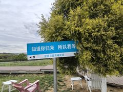 -空港花田景区