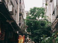 -陈添記·祖傳爽鱼皮·西关老字号(广州首店)