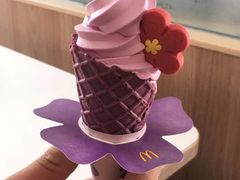 -麦当劳(欢乐谷店)