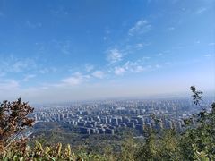 -杭州半山国家森林公园