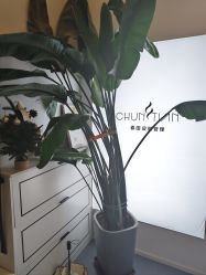 -春田皮肤管理中心品牌旗舰店