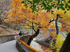 -潭柘寺景区
