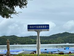 -千岛湖希尔顿休闲艇俱乐部