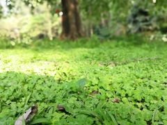 -南国桃园旅游度假区