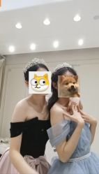 -LOVE SHINE婚纱·红鼎庄龙凤褂·妈妈装定制