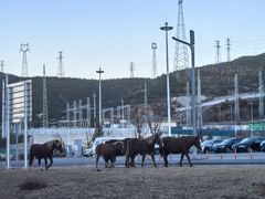 -翠云山银河滑雪场