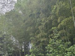 -故乡缘·香格里拉山庄(冷竹路店)