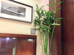-熙盛源(滨湖万达店)