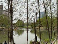 -九里河湿地公园