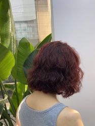 点击看大图 -赤道 Hair Salon