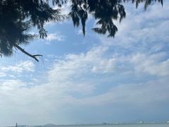 -亚马逊丛林水乐园