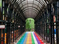 -合肥滨湖国家森林公园