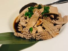 -梧桐